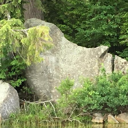 StoddardHummingbird Hill住宿加早餐旅馆 外观 照片