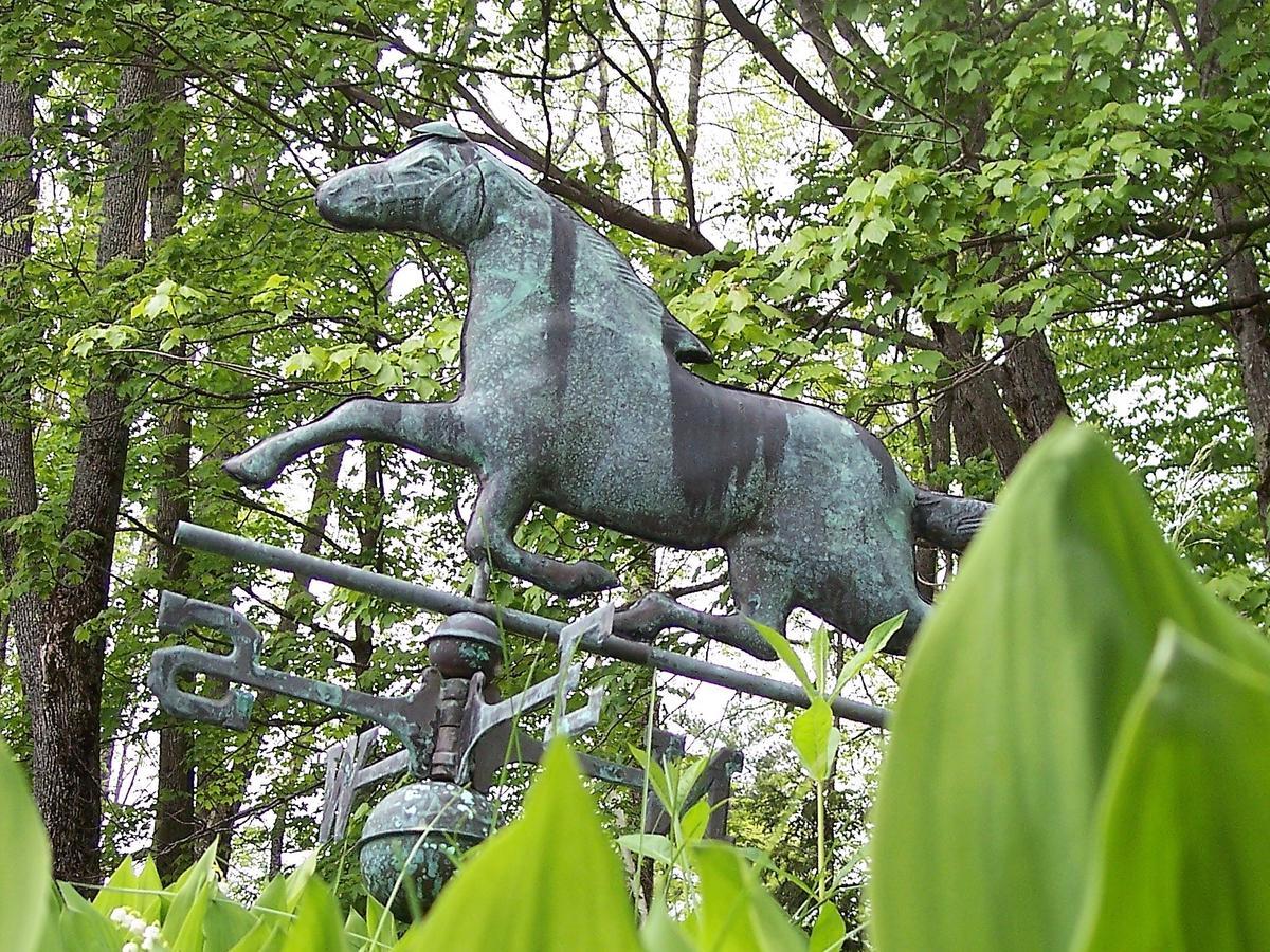 StoddardHummingbird Hill住宿加早餐旅馆 外观 照片