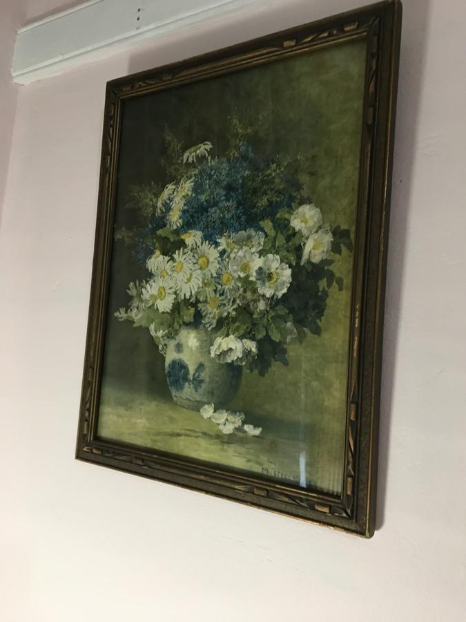 StoddardHummingbird Hill住宿加早餐旅馆 外观 照片